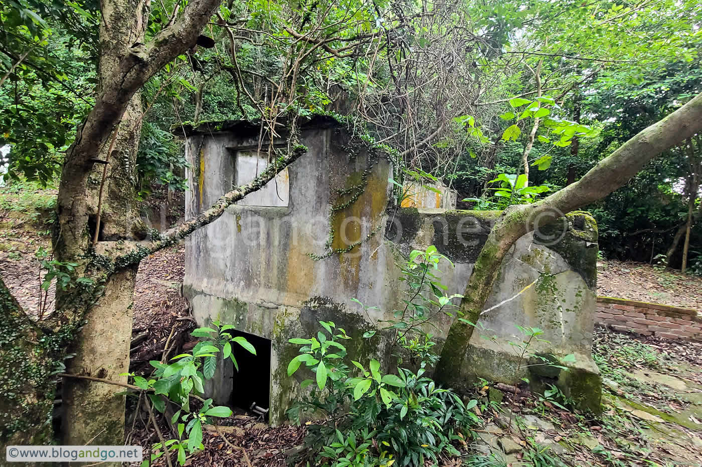 Mount Davis Battery - Air Raid Structure